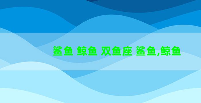 鲨鱼 鲸鱼 双鱼座 鲨鱼,鲸鱼